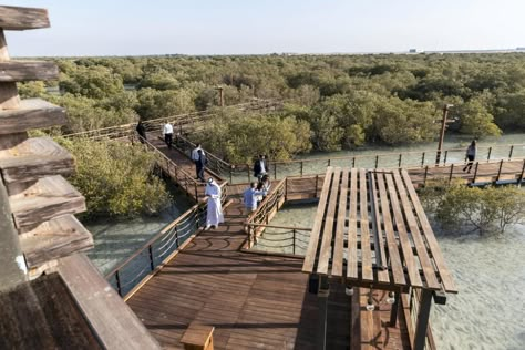 Jubail Mangrove Park: everything you need to know from parking to location | The National Mangrove Park, Abu Dhabi International Airport, Urban Design Plan, Mangrove Forest, Landscape Design Plans, Parking Design, Water Views, Urban Area, Concept Architecture