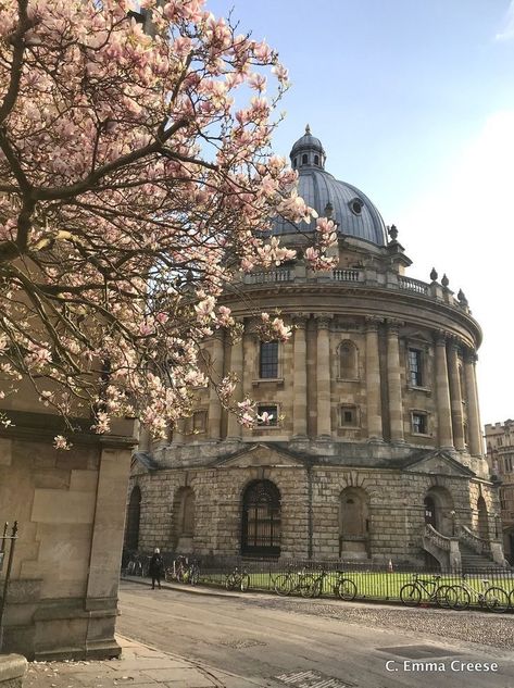 Things To Do In Oxford, University In England, Hamptons Aesthetic, New England Aesthetic, Oxford Travel, Oxford Uk, Oxford City, England Aesthetic, Sweet As Honey