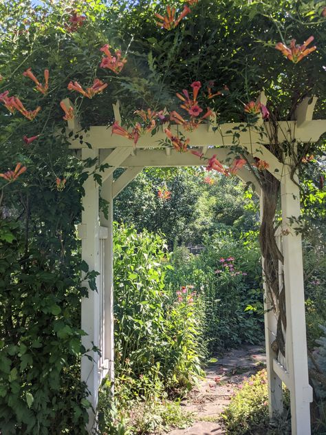 Ontario Garden, Flagstone Pavers, Fine Gardening Magazine, Flagstone Path, Trumpet Vine, Garden Inspo, Hydrangea Paniculata, Fine Gardening, Stone Path