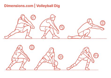 A Volleyball Dig is performed to prevent the ball from touching the court after a Spike or Attack, usually a ball that is almost touching the ground. In many ways, a Dig is similar to Passing or Bumping, and like a Pass, the arm position stays the same. Downloads online #sports #volleyball Volley Ball Poses Drawing, Volleyball Spike Pose Reference, Volleyball History, Volleyball Dig, Pancake Drawing, Volleyball Drawing, Volleyball Images, Spike Volleyball, Volleyball Positions