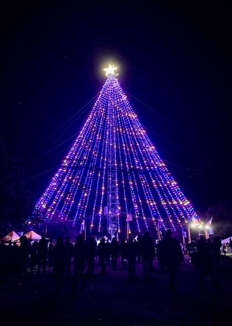 Zilker Tree Lighting Ceremony - So Much Life Trail Of Lights, To Do In Austin Texas, Things To Do In Austin, Holiday Checklist, Holiday Traditions Family, Christmas Light Show, Gingerbread House Kits, German Christmas Markets, Austin Food