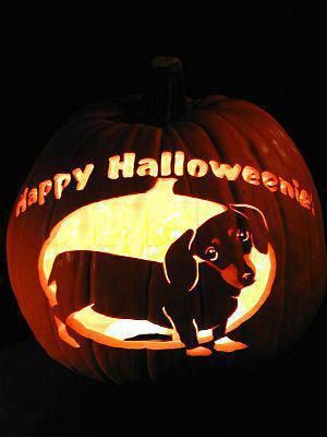 Happy Halloween! Weiner dog pumpkin cut out. This would be super fun for Halloween Zoo Crew, Color House, Happy Halloweenie, Dog Pumpkin, Dachshund Puppies For Sale, Pumpkin Stencil, Weenie Dogs, Violet Color, Mini Dachshund