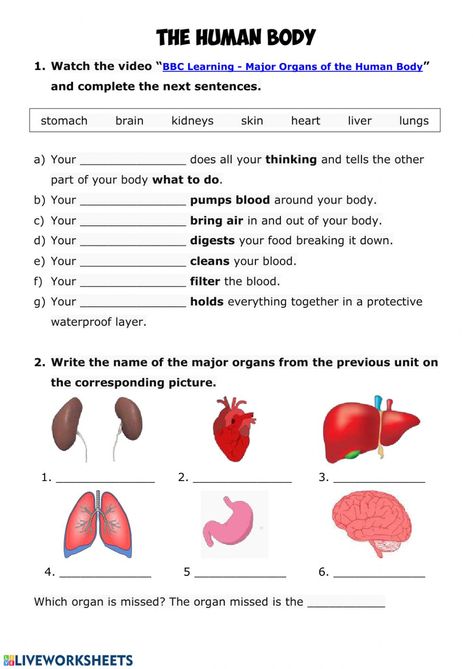 Human body online activity for Grade 3. You can do the exercises online or download the worksheet as pdf. 3rd Science Worksheet, My Body Worksheet For Grade 2, Our Body Worksheet Grade 2, 3rd Grade Health Worksheets, Internal And External Organs Worksheet, The Human Body Worksheets, Body Systems Worksheets Free Printable, Human Body Systems Worksheets, Evs Activities For Grade 3