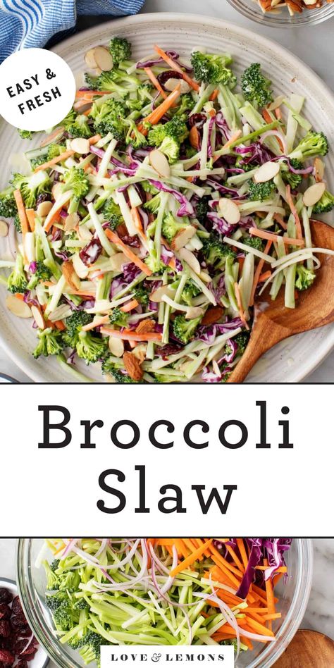 Healthy Broccoli Slaw Recipes, Broccoli Coleslaw Salad, Broccoli Slaw Dressing, Healthy Broccoli Slaw, Broccoli Slaw Recipe, Firework Festival, Salad With Homemade Dressing, Broccoli Slaw Salad, Broccoli Slaw Recipes