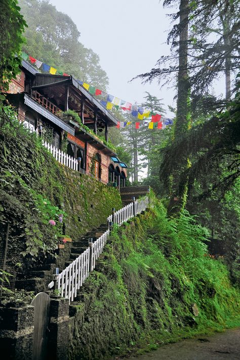 Hilly Hideaway: Winding Walks & Banana Pancakes in Landour | Nat Geo Traveller India Landour Mussoorie, Indian Mountains, Mountains India, Aesthetic Mountains, India Nature, Mountain Trip, Travel Mountains, Cities Of The World, Mountain Landscape Photography