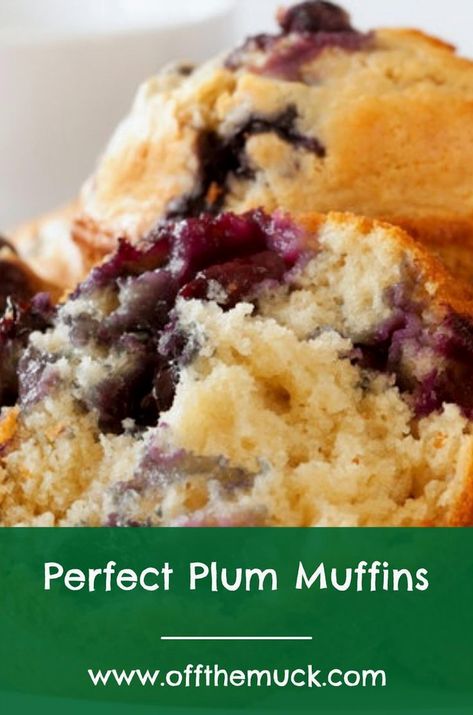 Indulge in the delightful taste of homemade muffins bursting with the juicy sweetness of fresh plums. Perfect for breakfast or a cozy afternoon snack, these muffins are a delicious way to enjoy the flavors of the season. With a tender crumb and a hint of spice, they’re sure to become a family favorite. Try baking a batch and watch them disappear in no time! Healthy Plum Dessert, Plum Recipes Healthy Breakfast, Banana Plum Muffins, Plum Muffins Healthy, Prune Muffins Recipes, Fresh Plum Recipes Desserts, Plum Muffins Recipe, Plum Recipes Dessert, Recipes With Plums