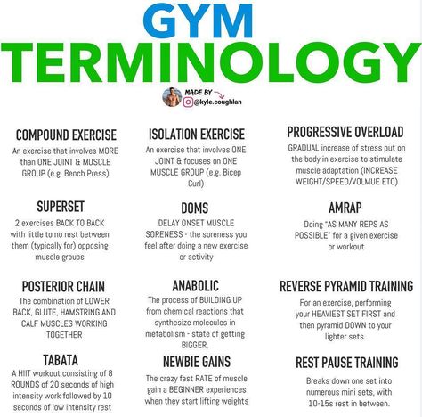 There are hundreds of terms out there. If you would like more posts like these, let me know! 👇🏼 ⠀ Would you like to see more gym terms… Bicep Muscle, Compound Exercises, Bench Press, Muscle Groups, Personal Training, Gym Life, Let Me Know, See More, Let Me