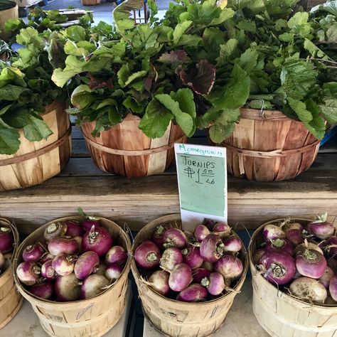 Learn about the Nashville Farmers’ Market Nashville Attractions, Nashville Farmers Market, Southern Mansions, Southern Cities, Kettle Corn, Free Range Chickens, Handmade Purses, Free Range, Music City