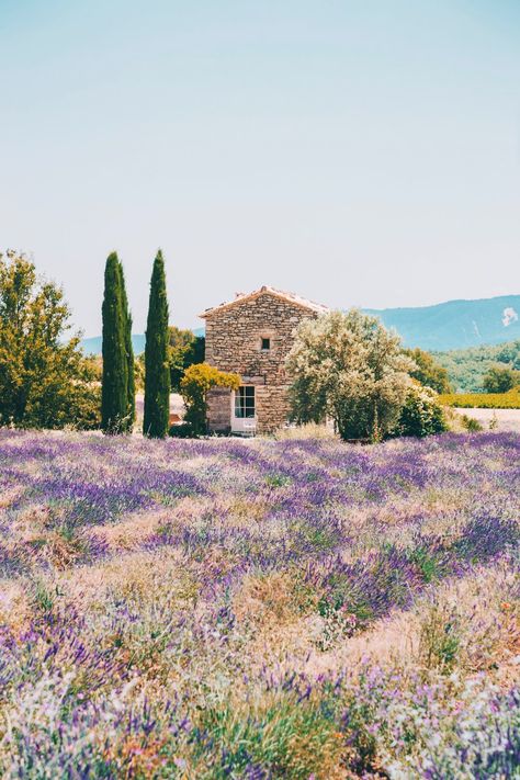 Exploring Provence — Mary Quincy Lavender Field, French Countryside, Stone House, Nature Aesthetic, Pretty Places, Travel Aesthetic, Beautiful World, Travel Dreams, Wonders Of The World