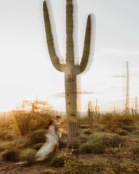 📍 Now booking in ARIZONA with NO TRAVEL FEES for all of March + April of 2025 🏜️ 🌵 Tuscan Arizona, Boho Sunset, Sunset Elopement, Saguaro National Park, National Park Elopement, Boho Inspiration, Montana Wedding, Park Elopement, National Park Wedding