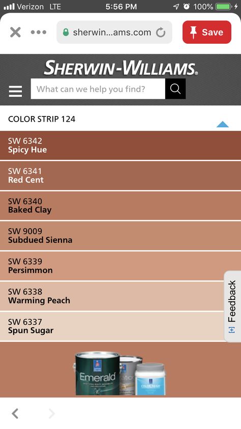 Sw Terracotta Paint, Terracotta Accent Wall Dining Room, Terra Cotta Paint Color Sherwin Williams, Sherwin Williams Subdued Sienna, Sw Terra Cotta Colors, Sedona Paint Colors, Terracotta House Exterior Color Palettes, Rust Paint Color Sherwin Williams, Brick Red Bathroom