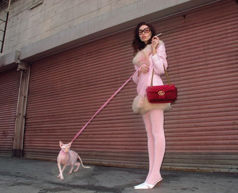 Walking the NoFur Baby ♀️Follow:Red Boo♀️ Red Gucci Bag, Nadia Lee Cohen, American Nightmare, Pink Tights, Woman Walking, Hairless Cat, Fashion Photography Inspiration, Photoshoot Concept, Photography Inspo