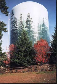 Water Tower Mural .. blending with the landscape. Painted Silos, Silo Art, Water Facts, Apple Water, Water Towers, Water Tanks, 3d Street Art, Farm Art, Murals Street Art