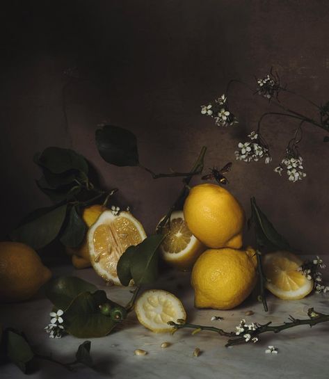 2,835 Likes, 103 Comments - Jamie Beck (@annstreetstudio) on Instagram: “Still life with lemons & bee... 🍋🍋🍋🐝 {watch me build, shoot, and edit this in stories! It feel so…” Bee Watch, Jamie Beck, Bee Photo, Fine Art Painting Oil, Still Life Photos, Chinoiserie Wallpaper, Fruit Painting, Still Life Drawing, Still Life Art