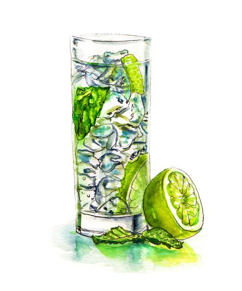 Loving Limes Drawn Food, Lime Drinks, Mojito Cocktail, Food Illustration Art, Watercolor Books, Cocktail Art, Food Illustration, Food Drawing, Limes