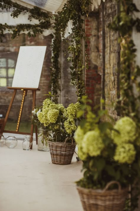 Hydrangea Flower Baskets Newburgh Priory Wedding Neil Jackson Photographic #Hydrangea #FlowerBaskets #Wedding Fall Hydrangea Wedding, Potted Hydrangea Wedding, Flower Arrangements With Hydrangeas, Green Hydrangeas Wedding, Flower Basket Wedding, Hydrangea Ceremony Decor, Limelight Hydrangea Wedding, Dried Hydrangeas Wedding, April Wedding Flowers