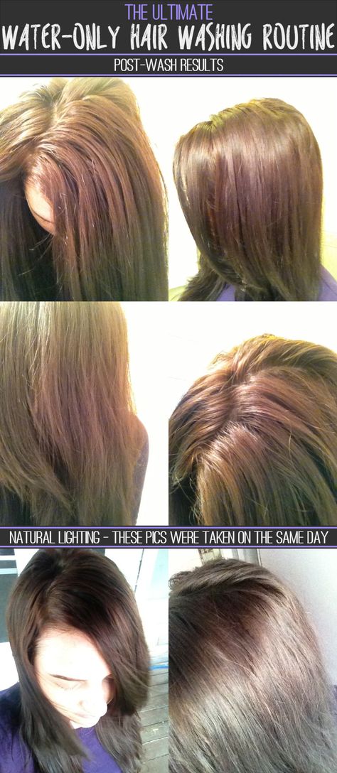 The Ultimate Water-Only Hair Washing Routine - Post Wash Results - Natural Lighting - How to wash your hair with just water - Water only hair washing - Water-Only No Poo Water Only Hair Washing, No Poo Hair, No Shampoo, Hair Washing Routine, Homemade Hair Mask, Hormonal Imbalance, Hair Washing, Hair Wash, Hair Food