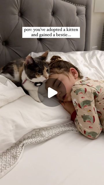 Bruna Fava on Instagram: "The Cat Distribution System theory is real and I can confirm it… 🥹 #catlovers #catandkid #kittenandbaby #kittenandkid" System Theory, Cats Doing Funny Things, Best Cat Gifs, Medical Degree, Kitten Love, Pet Kitten, Baby Kittens, Cute Cat Gif, Cute Cats And Kittens