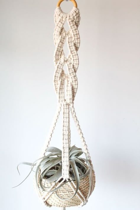 Macrame Plant Hanger