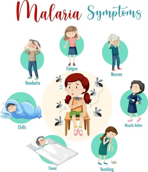 Malaria symptom information infographic Malaria Poster, Malaria Infographic, Malaria Symptoms, Ulcer Symptoms, Pamphlet Design, Awareness Poster, Disease Symptoms, General Ideas, Infographic Illustration