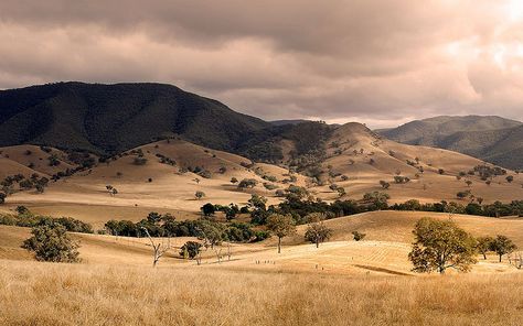 Conners Hill - East Gippsland Shire, Victoria, Australia | Flickr - Photo Sharing! Dual Screen Wallpaper, Australia Pictures, Flying The Nest, Australia Landscape, Sci Fi Wallpaper, Australian Road Trip, The Nest, Victoria Australia, Road Trips