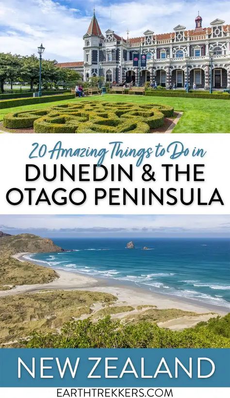 Best things to do in Dunedin and the Otago Peninsula, South Island of New Zealand. See yellow eyed penguins and little blue penguins, visit Larnach Castle, and learn about the rich history of Dunedin. Larnach Castle, Earth Trekkers, Dunedin New Zealand, New Zealand Itinerary, Hiking National Parks, Is It Worth It, Animal Sanctuary, New Zealand Travel, Us National Parks