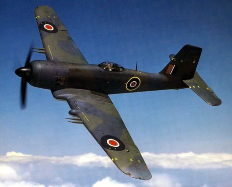 Wwii Airplane, Wwii Fighters, Wwii Plane, British Aircraft, Ww2 Planes, Aircraft Photos, Navy Aircraft, Wwii Aircraft, Ww2 Aircraft