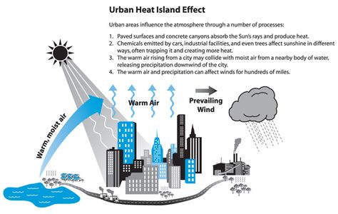 Heat Island Effect Green House Gases, Retention Pond, Design Diagram, Guerrilla Gardening, Storm Water, Urban Heat Island, Eco Life, Environmental Engineering, Public Realm