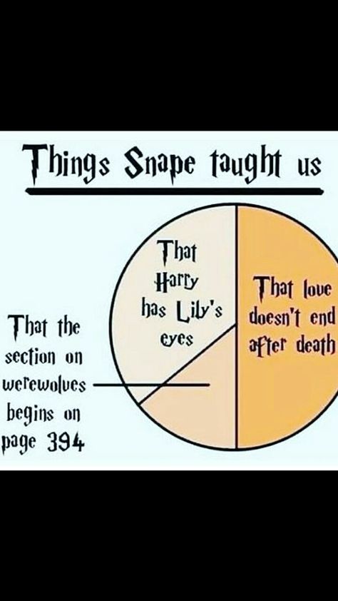 Bookworm Memes Funny, Page 394, Turn To Page 394, Always Harry Potter, Elder Wand, Harry Potter Puns, Harry Potter Artwork, Potter Facts, Harry Potter Actors