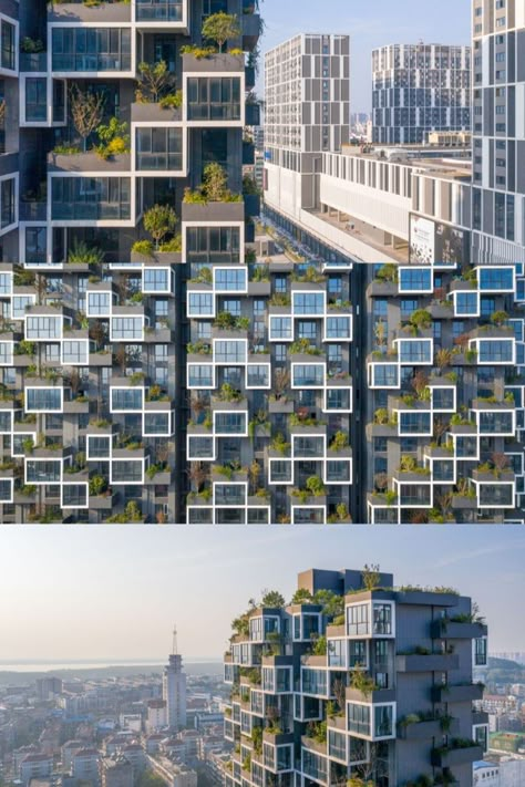 Easyhome Huanggang Vertical Forest City Complex Stefano Boeri, Vertical Forest, Chinese House, House Flippers, Perennial Grasses, Construction Firm, Forest City, Forest Design, New Forest