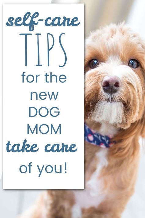 dog mom, new puppy, self care New Dog Mom, First Time Dog Owner Tips, Dog Mom Aesthetic, Tips For New Dog Owners, How To Be A Better Dog Mom, Puppy Schedule, Pregnant Dog Care Tips, Puppies Tips, Pet Boarding