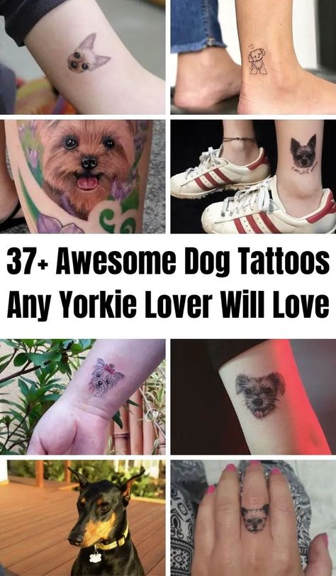 From the super artistic to the super realistic, here are some top-notch Yorkie tattoos that are true works of art. Yorkie Tattoo Minimalist, Yorkie Memorial Tattoo, Dog Memorial Tattoos Yorkie, Yorkie Dog Tattoo, Yorkie Ear Outline, Yorkie Terrier Tattoo, Yorkie Ears Tattoo, Yorkie Tattoo Ideas, Yorkie Tattoos