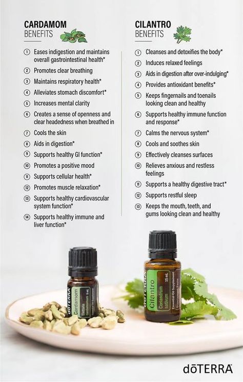 Cilantro Essential Oil, Cilantro Benefits, Cilantro Oil, Cardamom Essential Oil, Doterra Essential Oils Recipes, What Are Essential Oils, Essential Oil Remedy, Essential Oils Health, Oil Diffuser Recipes