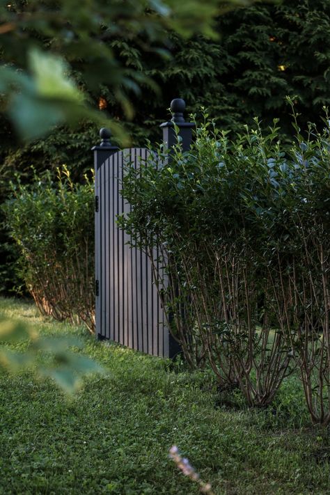 custom black gate and privacy hedge Gate Between Hedges, Gate In Hedge, Hedge With Gate, Building A Gate, Metal Gates Design, Black Gate, Privacy Hedge, Metal Gate, Dark Hedges