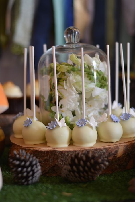 Tea Party Cake Pops, Woodland Party Ideas, Cake Pops Ideas, Fall Cake Pops, Stump Cake, Tree Stump Cake, Animal Decorations, Fairy Baby Showers, Tea Party Cake