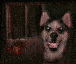 Smile Dog Creepypasta, Smile Dog, Mind's Eye, Husky