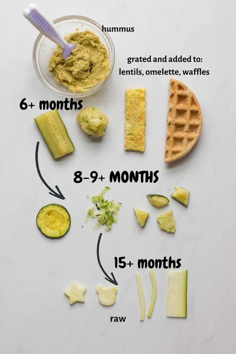 8 Month Old Baby Food, Raw Zucchini, Baby Led Weaning First Foods, Food Prepping, High Energy Foods, Baby Dinner, Vegetables For Babies, Baby Cooking, Healthy Vegetable