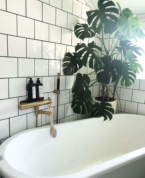 126 gilla-markeringar, 1 kommentarer - Frida Holm (@dragongatan19) på Instagram: "🌿🌱🍀 #bath #bathroom #dragongatan19 #Interior125#inreda #finahem #inredning #design #mitthjem…" Bath Bathroom, Clawfoot Bathtub, Design Inspo, Dream House, Bath, Interior Design, Home Decor, Instagram, Design