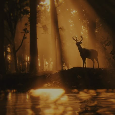 Deer Wallpaper, Read Dead, Real Cowboys, Red Dead Redemption Ii, Red Redemption 2, Rdr 2, Red Dead Redemption 2, Red Dead, Red Dead Redemption