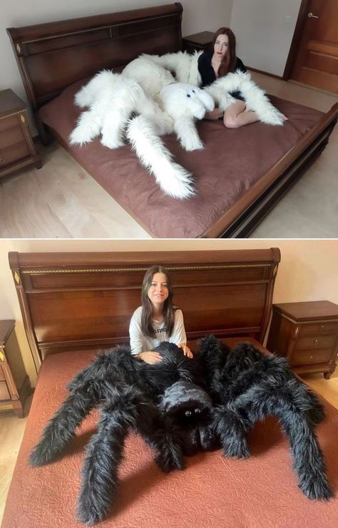 Giant Spider Plush, Room Idea Decoration, Spider Plush Pattern Free, Cool Stuffed Animals, Spider Fursuit, Spider Plush Pattern, Stuff For Bedrooms, Spider Stuffed Animal, Giant Plushies