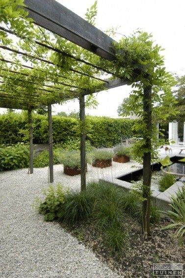 Modern Garden Ideas, Gravel Patio, Modern Backyard Landscaping, Pergola Design, Garden Vines, Modern Landscape Design, Garden Types, Big Garden, Modern Backyard