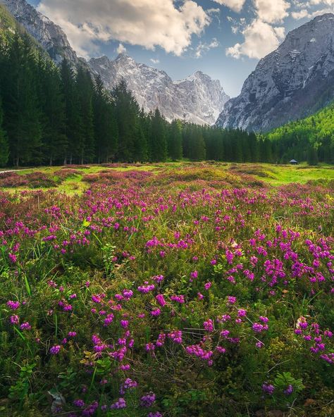 Slovenia Mountains, Triglav National Park, Slovenia Travel, Julian Alps, Love S, Euro Summer, Story Setting, Modern Wallpaper, Slovenia