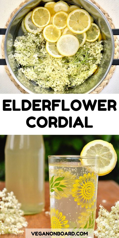 Elderflower Recipes, Elderberry Flower, Cordial Recipe, Elderflower Cordial, Foraging Recipes, Perfect Summer Drink, Foraged Food, Toxic Foods, Food Additives