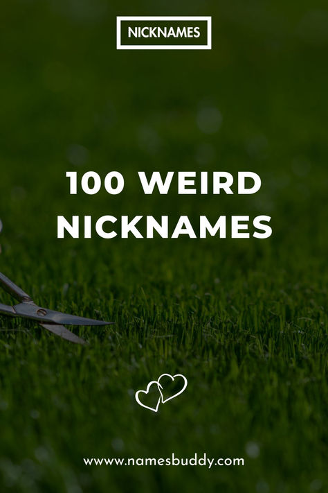 Weird Nicknames Weird Nicknames, Funny Names, The 100