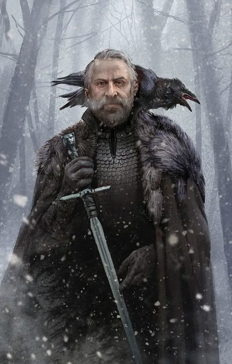 image Jeor Mormont, Heroic Fantasy, Jaime Lannister, Gra O Tron, Game Of Thrones Art, Arya Stark, Fantasy Male, Fantasy Warrior, Arte Fantasy