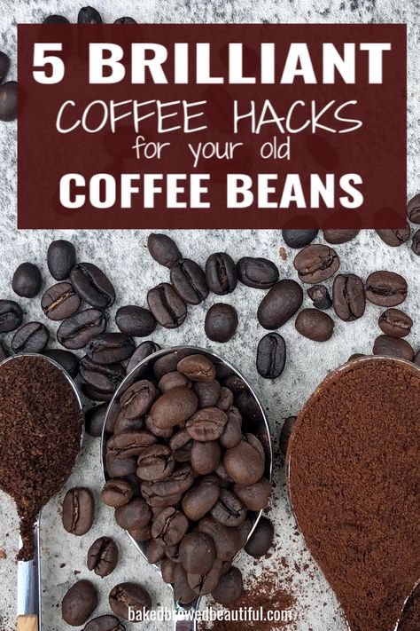 Instead of throwing out your old coffee beans, try these 5 brilliant coffee hacks to help you reduce waste. With these DIY coffee hacks and home recipes, you’ll never throw out your old coffee grounds or beans again!  coffee hacks recipes | coffee hacks DIY | coffee hacks life hacks | coffee hacks beauty | coffee hacks recipes at home    #coffeehacks #coffee #lifehacks #coffeetime #chocolatecoveredcoffeebeans #coffeebeans#morningcoffee #espresso #espressodesserts What To Do With Coffee Beans, Coffee Bean Uses, Coffee Hacks Recipes, Old Coffee Grounds, Espresso Drink Recipes, Leftover Coffee, Raw Coffee Beans, Chocolate Covered Coffee Beans, Coffee Grain