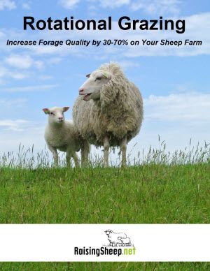 Different Types Of Grass, Rotational Grazing, Pasture Management, Farm Marketing, Cats And Rabbits, Goat House, Electric Sheep, Farm Plans, Types Of Grass