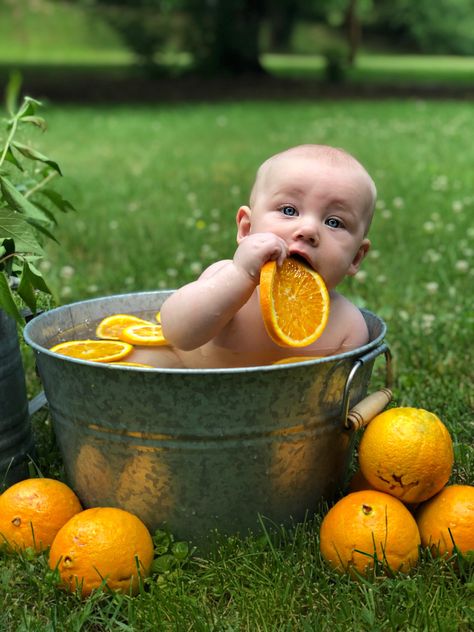 Orange/Citrus baby boy bucket bath for summer or spring pictures. Spring Baby Pictures, Summer Baby Pictures, Summer Baby Photos, 6 Month Baby Picture Ideas Boy, Milk Bath Photos, Spring Baby Boy, 6 Month Baby Picture Ideas, Spring Orange, Bath Pictures