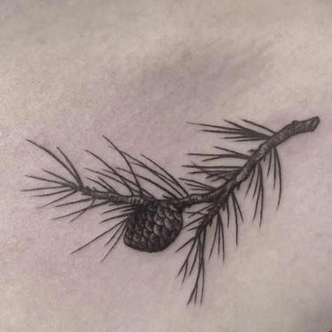 Pine branch, collarbone #pinecone #pine #tattoo #botanical #etching #kongle… Pinecone Tattoo, Wilderness Tattoo, Pine Tattoo, Tattoo Nature, Sunset Tattoos, Branch Tattoo, Mushroom Tattoos, Bear Tattoos, Landscape Tattoo