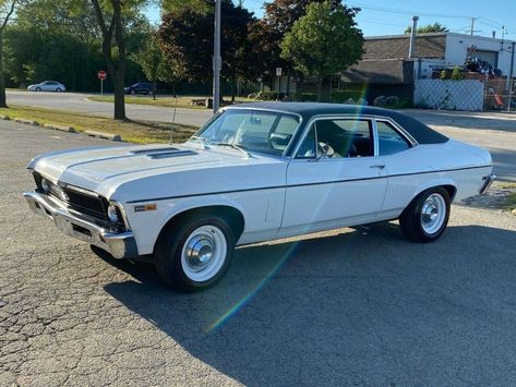 1970 Chevy Nova Ss, Chevy Nova Ss 1969, 72 Nova, Nova Car, Chevy Nova Ss, Chevy Ss, Dover White, Old Muscle Cars, Chevy Cars